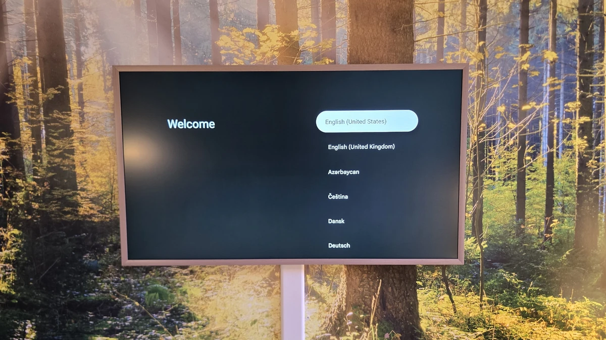 Hisense CanvasTV with a teak frame mounted on a forest photo-wallpaper wall